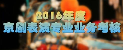 艹bb网站在线国家京剧院2016年度京剧表演专业业务考...